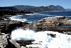 Cape Agulhas-tur fra Cape Town