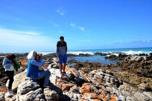 Tour di Cape Agulhas da Città del Capo