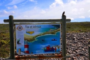 Tour di Cape Agulhas da Città del Capo