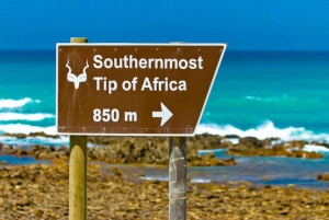 Tour di Cape Agulhas: Escursione privata di un giorno!
