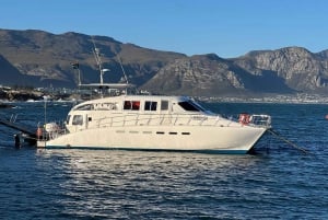 Cabo Agulhas, ballenas de Hermanus y cata de vinos: excursión de un día