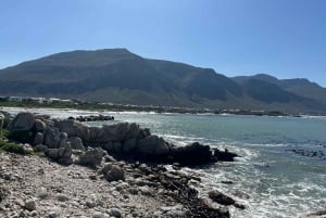 Cabo Agulhas, ballenas de Hermanus y cata de vinos: excursión de un día