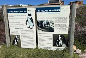 Cabo Agulhas, ballenas de Hermanus y cata de vinos: excursión de un día