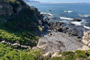 Cabo Agulhas, ballenas de Hermanus y cata de vinos: excursión de un día