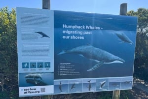 Cabo Agulhas, ballenas de Hermanus y cata de vinos: excursión de un día