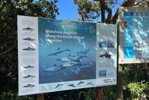 Cabo Agulhas, ballenas de Hermanus y cata de vinos: excursión de un día