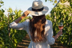 Tour de la ciudad del Cabo y bodegas galardonadas de Constantia.