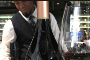 Tour de la ciudad del Cabo y bodegas galardonadas de Constantia.