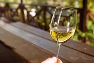 Tour de la ciudad del Cabo y bodegas galardonadas de Constantia.