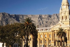 Tour de la ciudad del Cabo y bodegas galardonadas de Constantia.