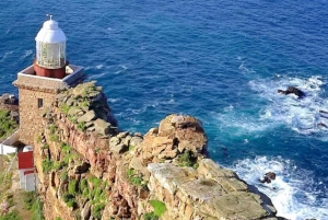 Cape of Good Hope and Boulders Beach Private Tour