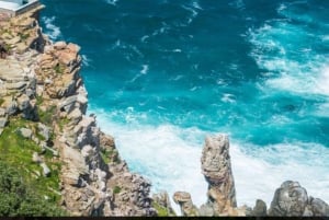 Cape of Good Hope and Boulders Beach Private Tour