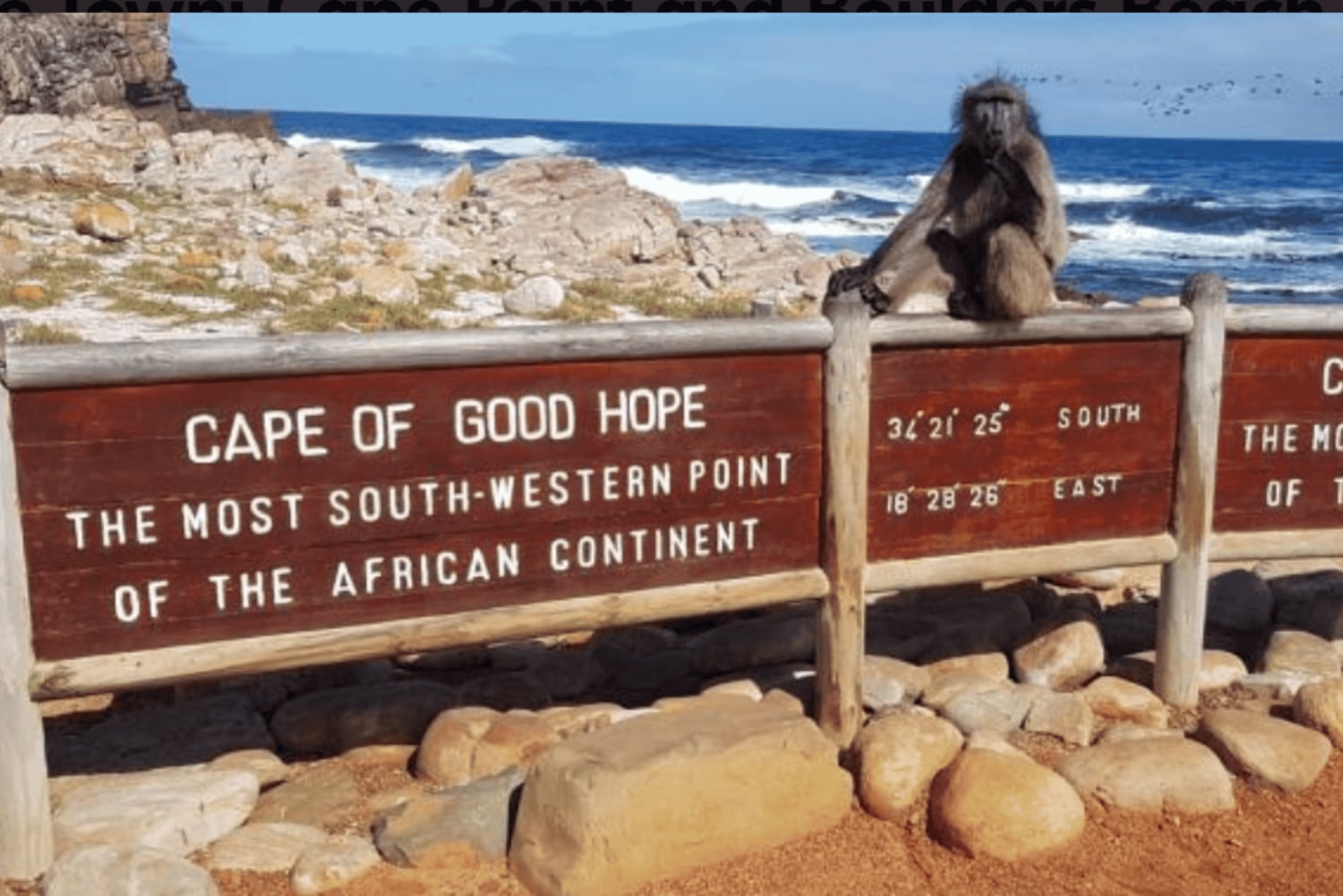 Частный тур на мыс Доброй Надежды и пляж Боулдерс