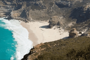 Cape of Good Hope and Boulders Beach Private Tour