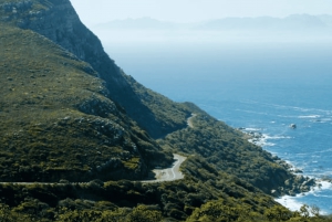 Cape of Good Hope and Boulders Beach Private Tour