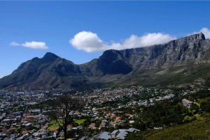 Cape of Good Hope and Boulders Beach Private Tour