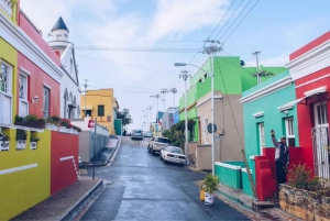 Cape of Good Hope and Boulders Beach Private Tour