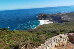 Cape of Good Hope and Boulders Beach Private Tour