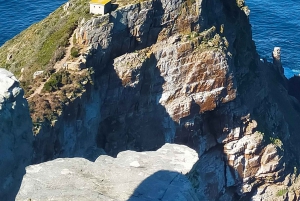 Cape of Good Hope and Boulders Beach Private Tour