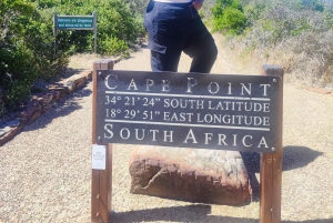 Cape of Good Hope and Boulders Beach Private Tour