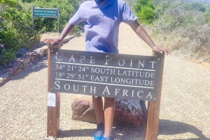 Cape of Good Hope and Boulders Beach Private Tour