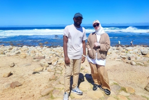 Cape of Good Hope and Boulders Beach Private Tour