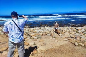 Cape of Good Hope and Boulders Beach Private Tour