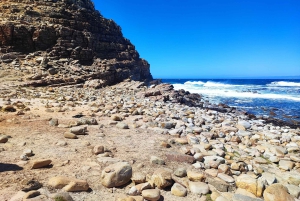 Cape of Good Hope and Boulders Beach Private Tour