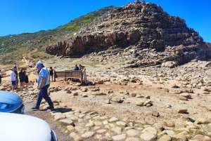 Cape of Good Hope and Boulders Beach Private Tour