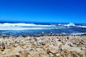 Cape of Good Hope and Boulders Beach Private Tour