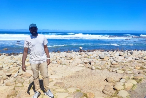 Cape of Good Hope and Boulders Beach Private Tour