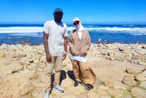 Cape of Good Hope and Boulders Beach Private Tour