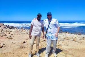 Cape of Good Hope and Boulders Beach Private Tour