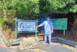 Cape of Good Hope and Boulders Beach Private Tour