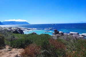 Cape of Good Hope and Boulders Beach Private Tour