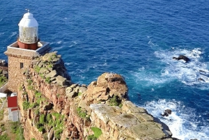 Частный тур на мыс Доброй Надежды и пляж Боулдерс