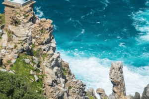 Частный тур на мыс Доброй Надежды и пляж Боулдерс