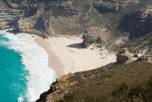 Частный тур на мыс Доброй Надежды и пляж Боулдерс