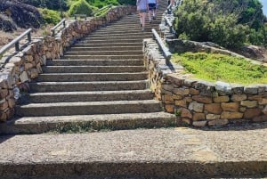 Частный тур на мыс Доброй Надежды и пляж Боулдерс