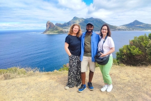 Частный тур на мыс Доброй Надежды и пляж Боулдерс