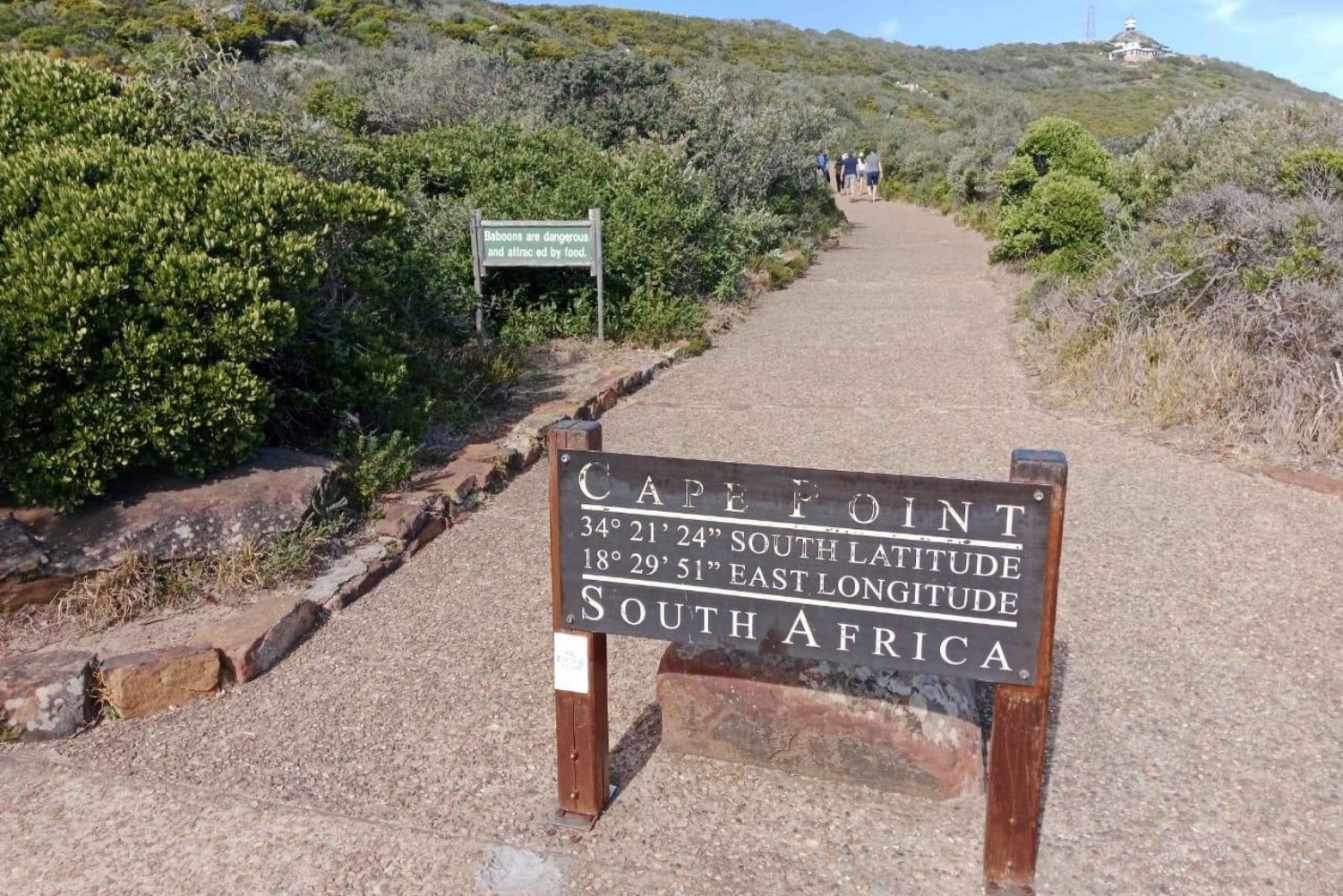 Cape of Good Hope and Cape Point Private Tour for One Day