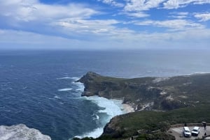 Cape of Good Hope and Penguins Full-Day Private Tour