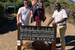 Cape of Good Hope and Penguins Full-Day Private Tour