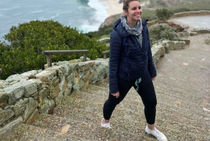 Cape of Good Hope and Penguins Full-Day Private Tour