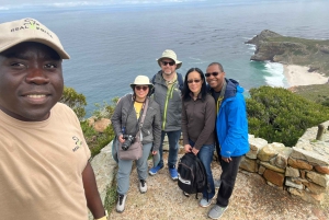 Cape of Good Hope and Penguins Full-Day Private Tour