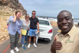 Cape of Good Hope and Penguins Full-Day Private Tour