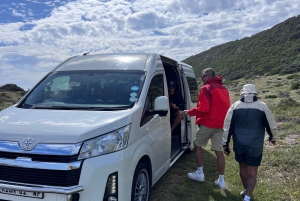 Cape of Good Hope and Penguins Full-Day Private Tour