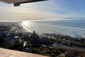 Cape of Good Hope and Penguins Full-Day Private Tour