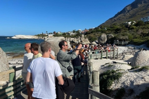 Cape of Good Hope and Penguins Full-Day Private Tour