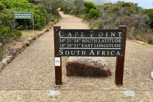 Cape of Good Hope and Penguins Full-Day Private Tour
